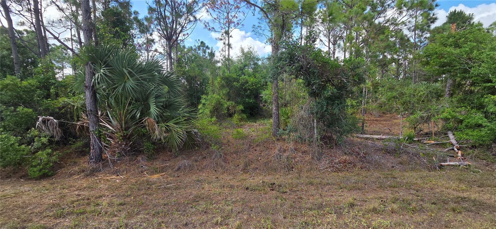 27402 MANDALAY DR, PUNTA GORDA, FL — photo 4