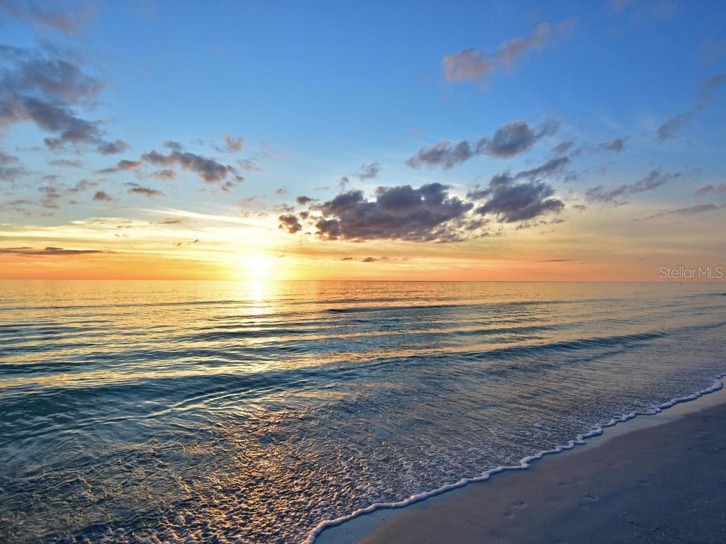 170 ROOSEVELT DR #8, SARASOTA, FL — photo 23