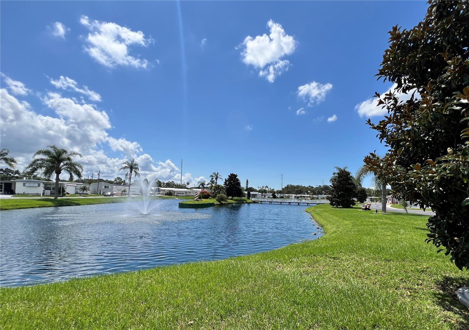 1500 COUNTY ROAD 1 #95, DUNEDIN, FL — photo 27