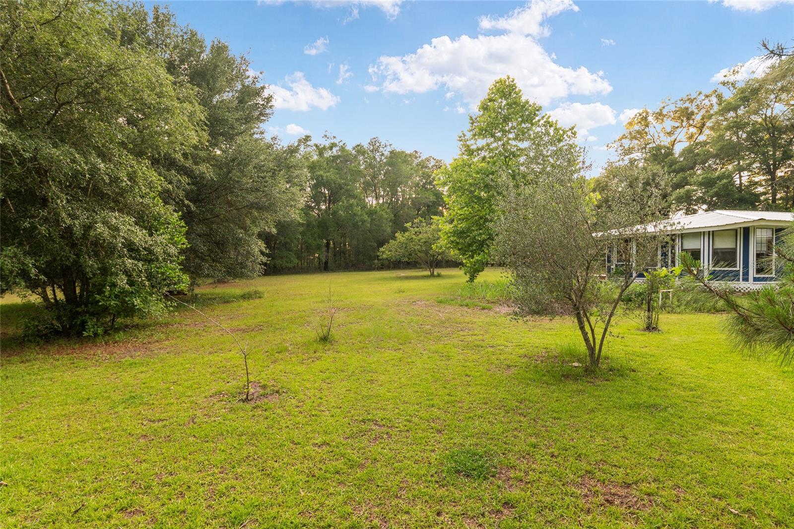 4912 NW 170TH ST, ALACHUA, FL — photo 74