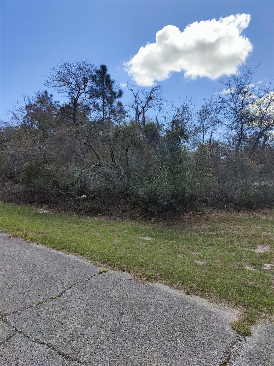 408 VERNON CT, KISSIMMEE, FL