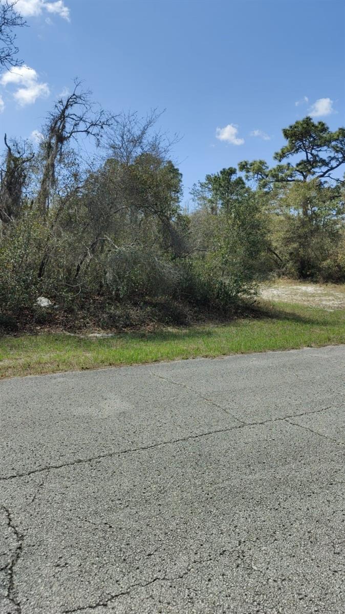 408 VERNON CT, KISSIMMEE, FL — photo 2