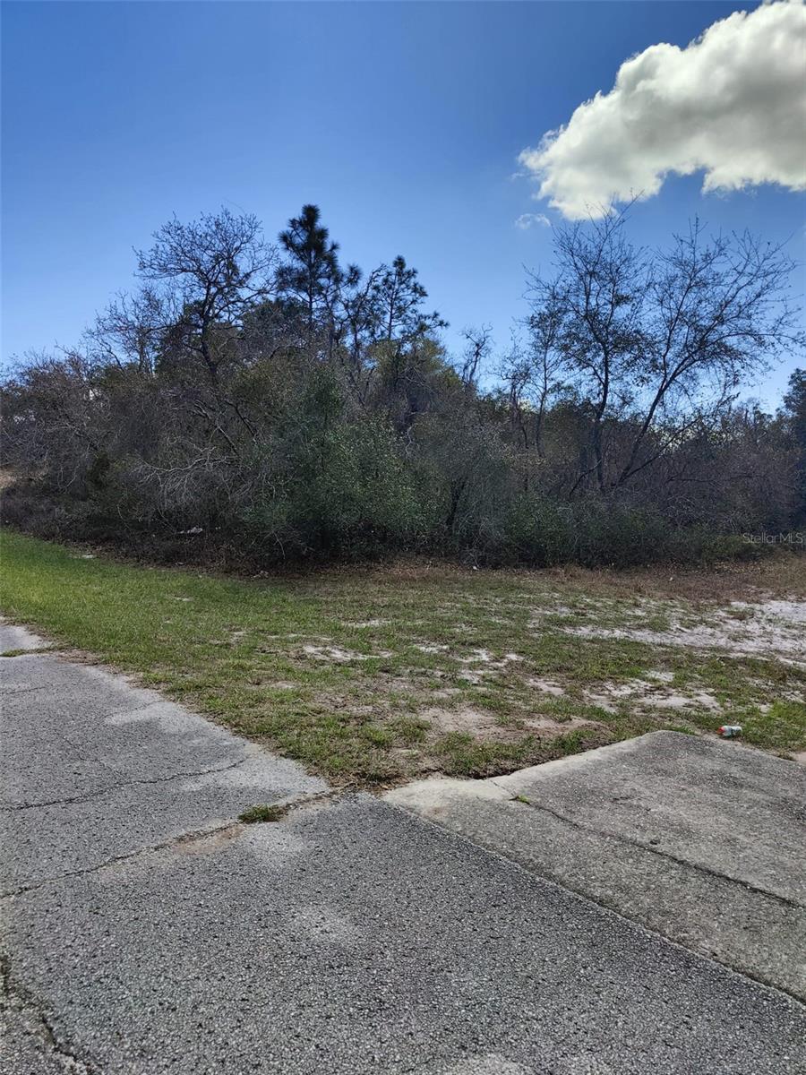 408 VERNON CT, KISSIMMEE, FL — photo 3