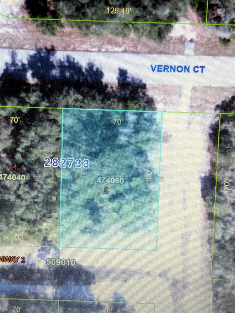 408 VERNON CT, KISSIMMEE, FL — photo 4