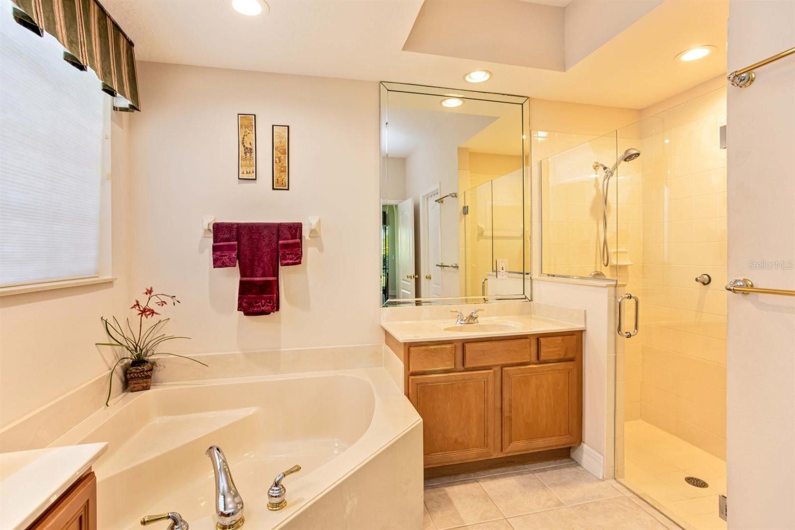 4328 FAWN MEADOWS CIR, CLERMONT, FL — photo 40