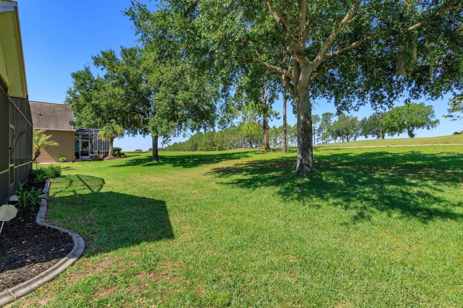 4328 FAWN MEADOWS CIR, CLERMONT, FL — photo 59