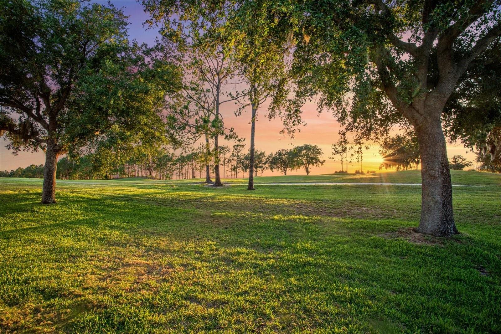 4328 FAWN MEADOWS CIR, CLERMONT, FL — photo 7