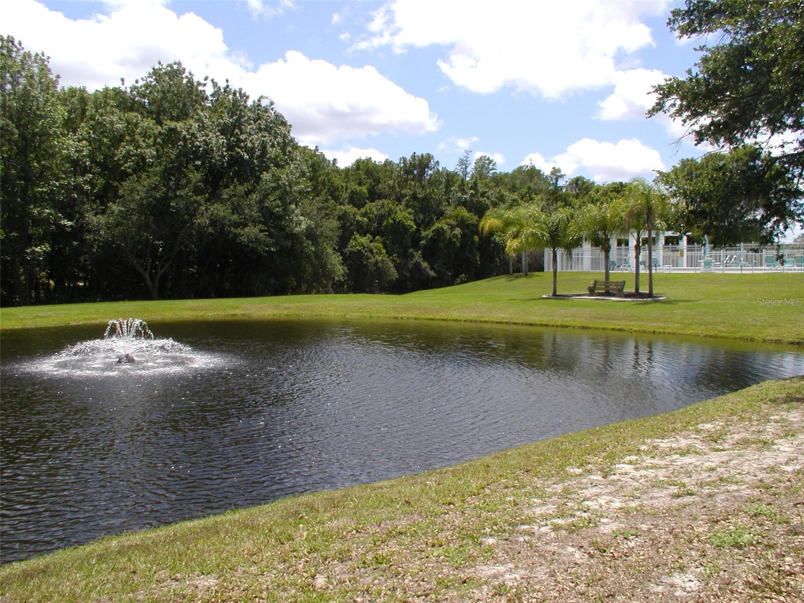 3952 ELVIRA CT, NEW PORT RICHEY, FL — photo 14