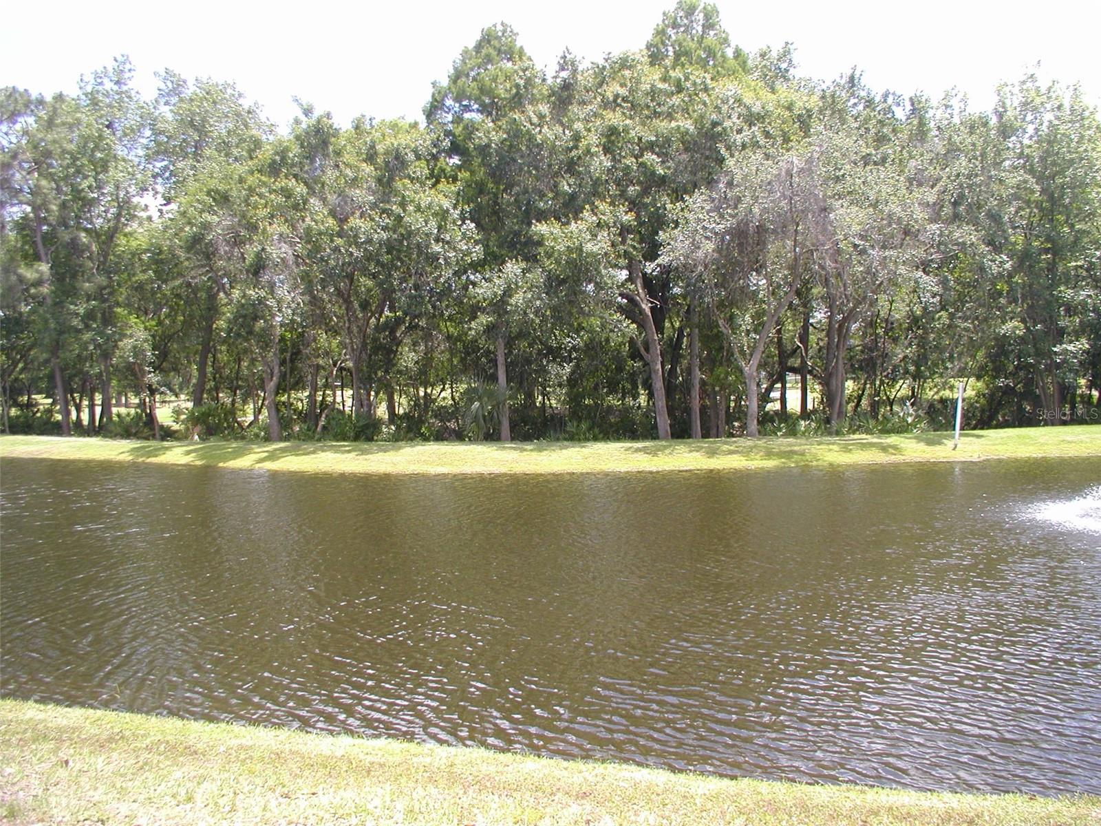 3952 ELVIRA CT, NEW PORT RICHEY, FL — photo 15