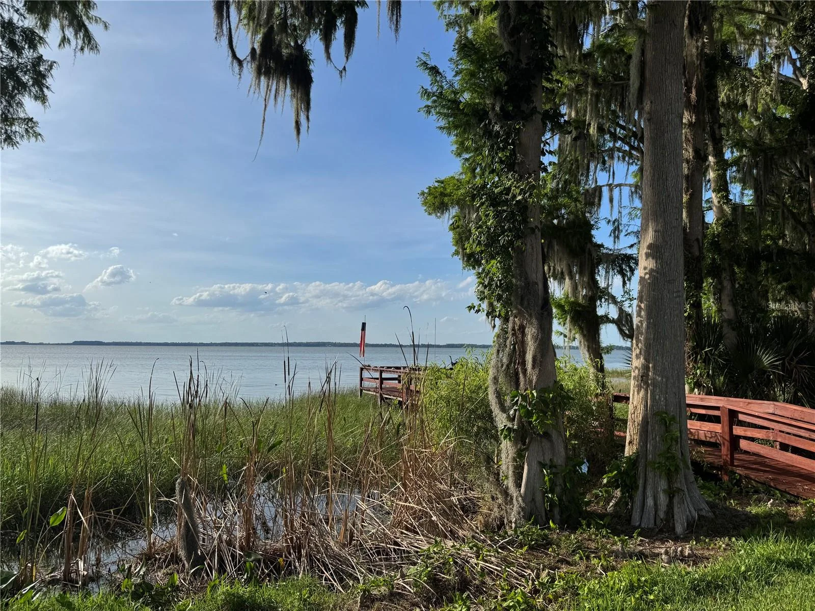 39 FOREST LN, EUSTIS, FL — photo 82