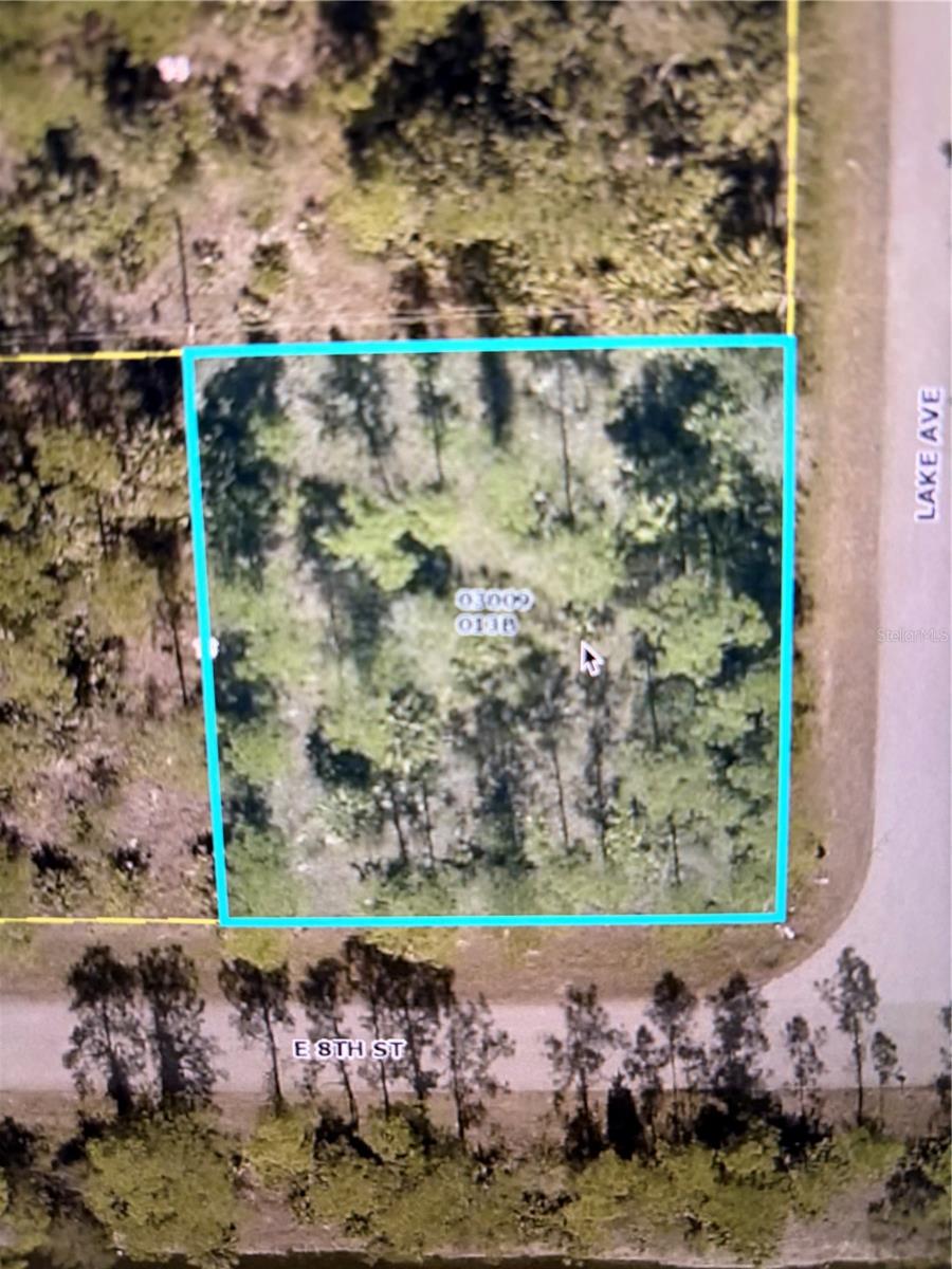 807 E 8TH ST, LEHIGH ACRES, FL