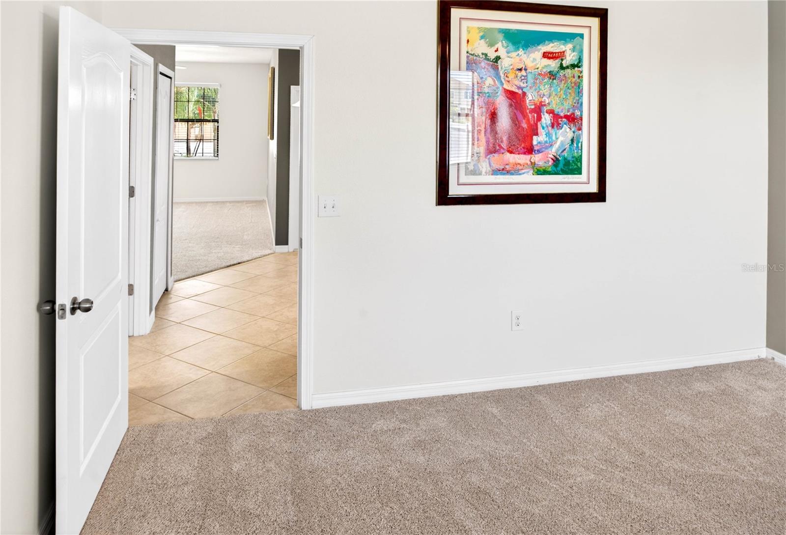 13415 WHITE SAPPHIRE RD, RIVERVIEW, FL — photo 38