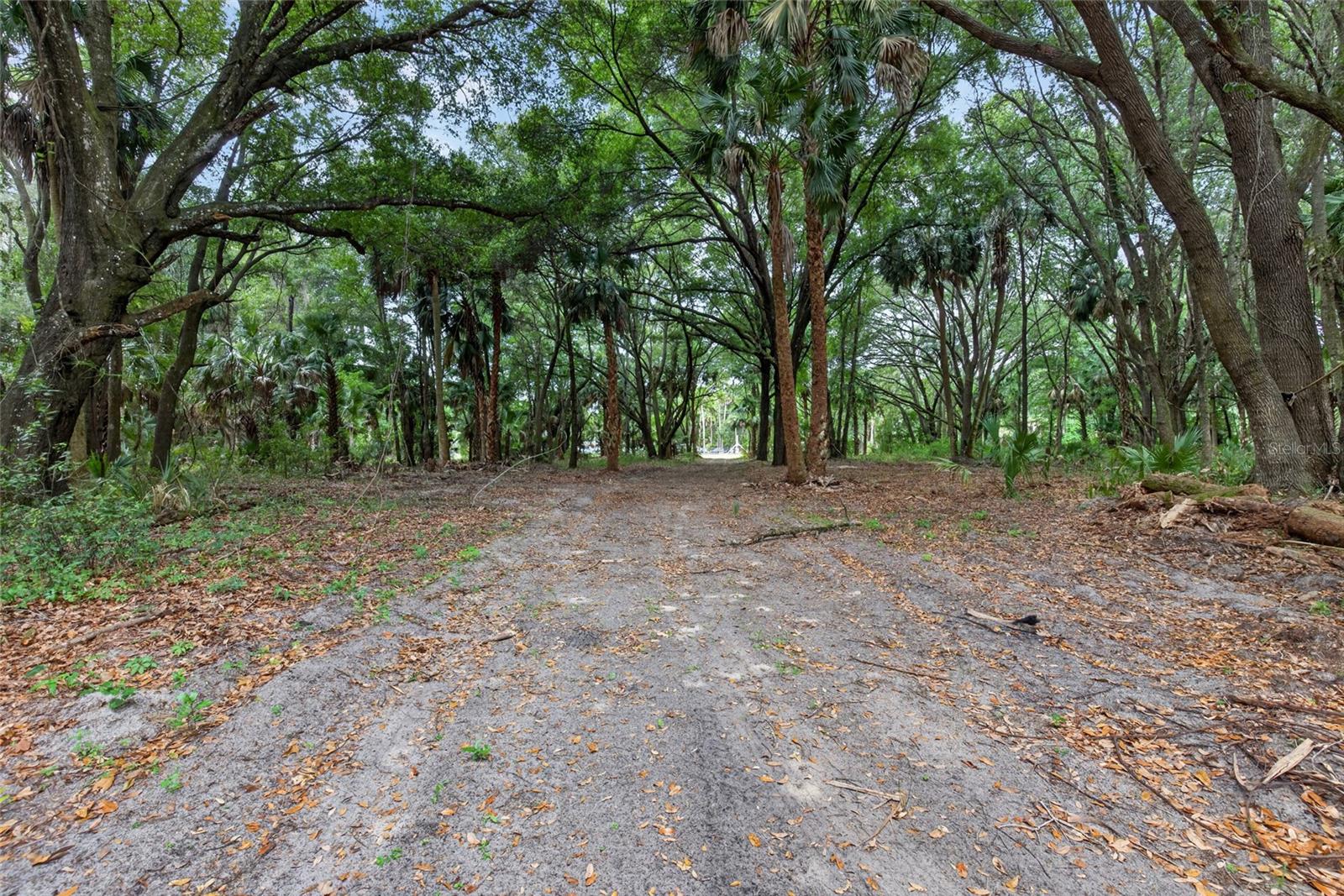 0 N US HWY 301, CITRA, FL — photo 4