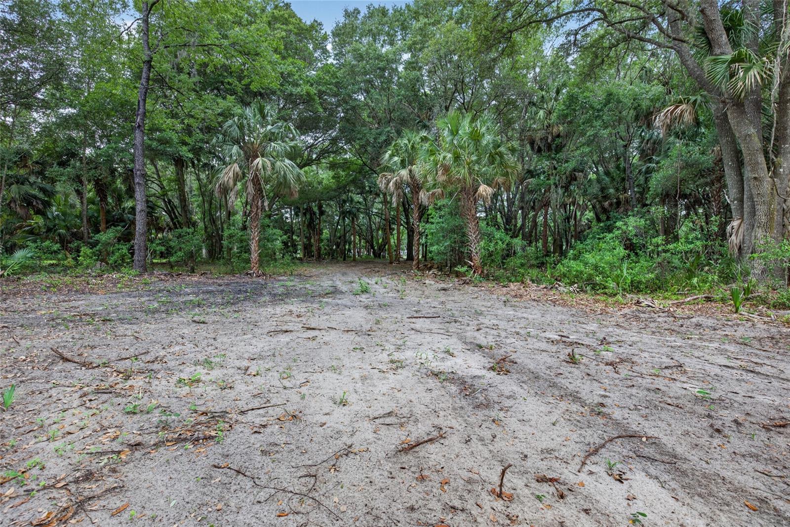 0 N US HWY 301, CITRA, FL — photo 8
