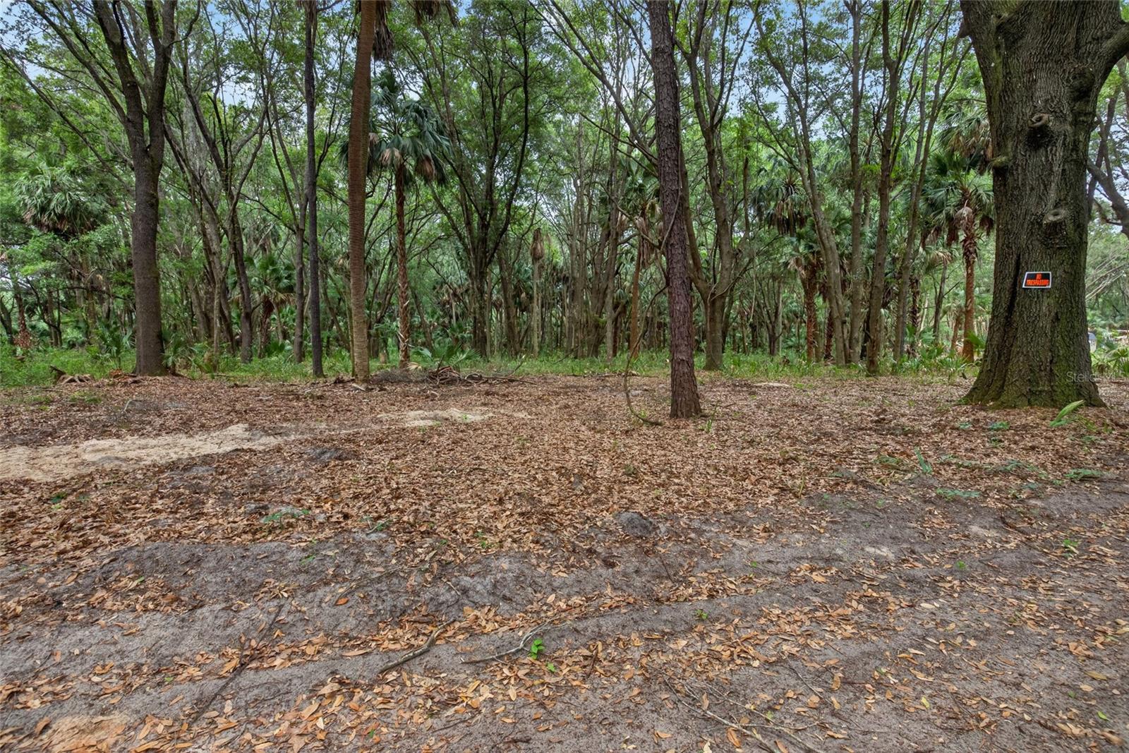 0 N US HWY 301, CITRA, FL — photo 12