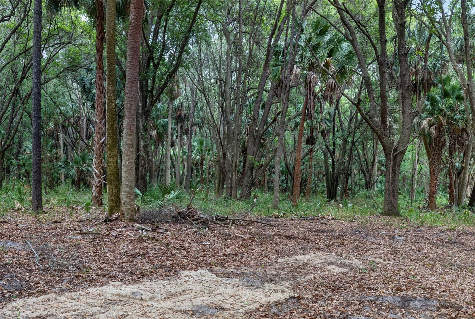 0 N US HWY 301, CITRA, FL — photo 13