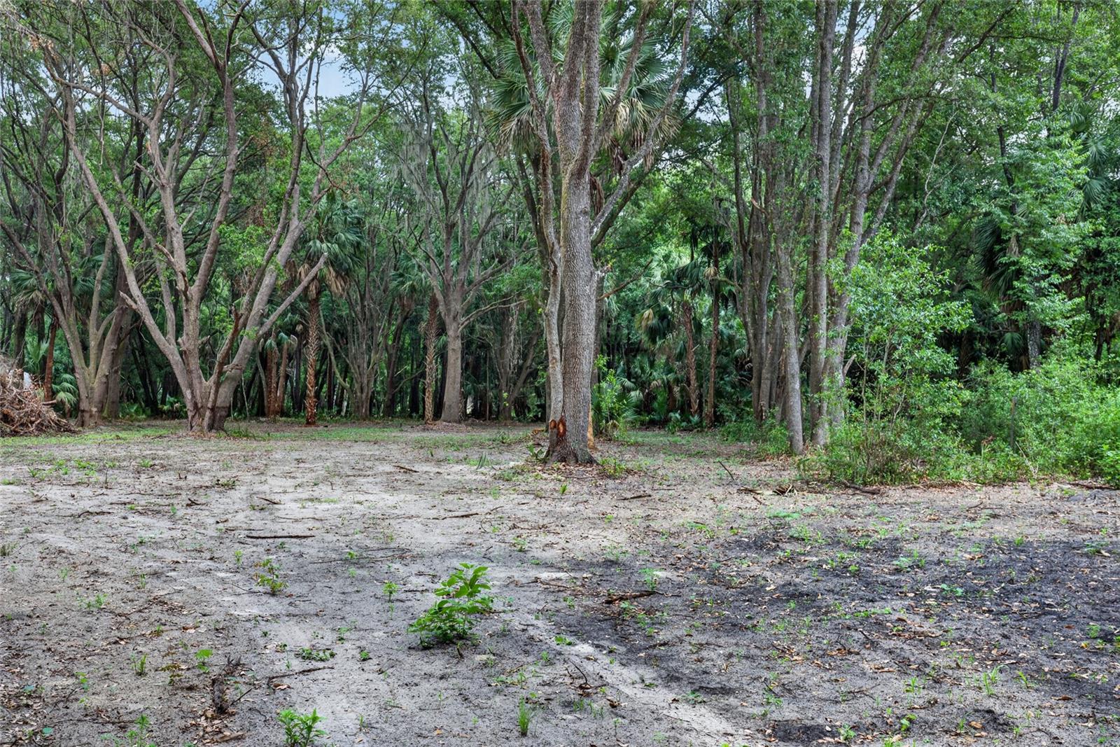 0 N US HWY 301, CITRA, FL — photo 14