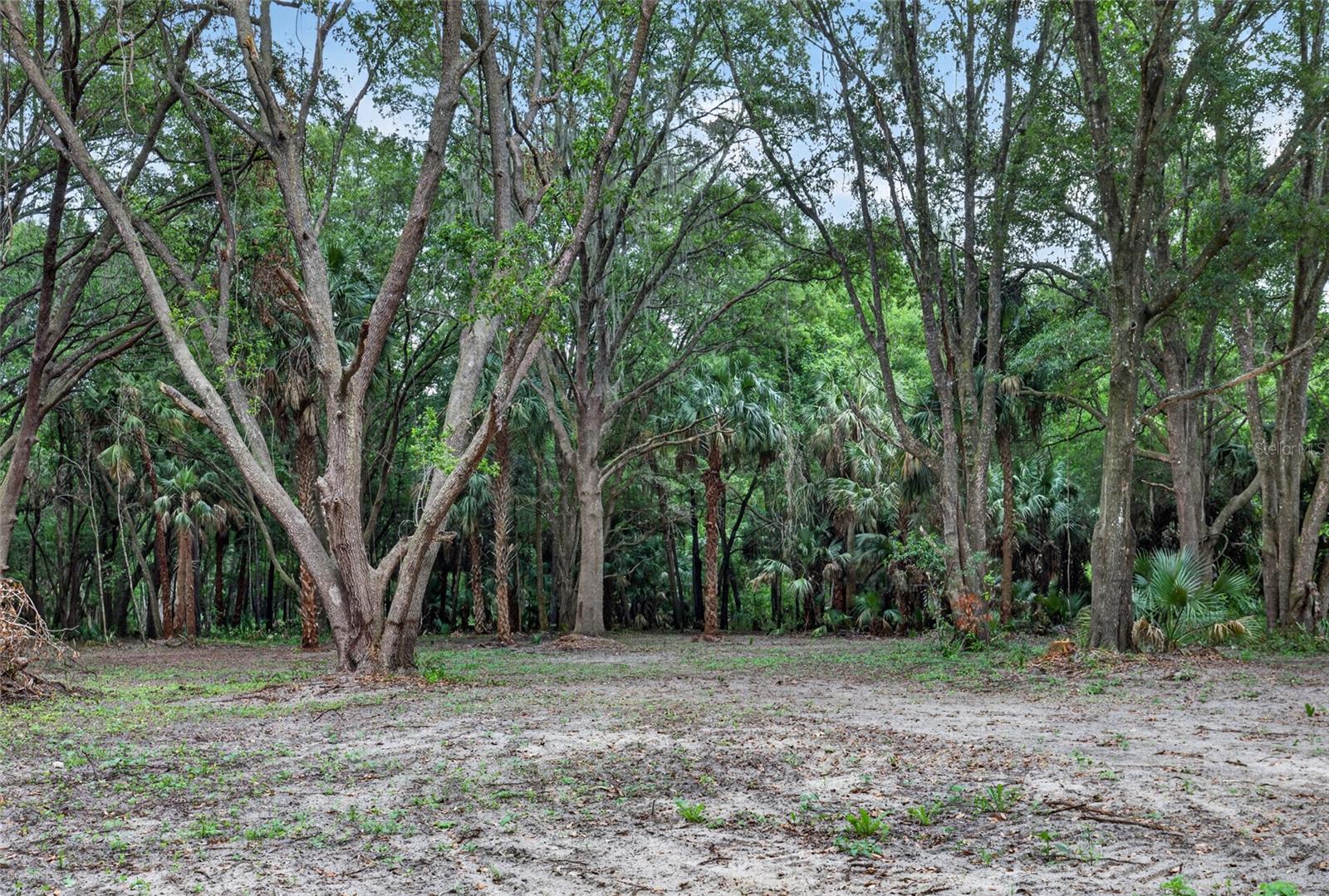 0 N US HWY 301, CITRA, FL — photo 15