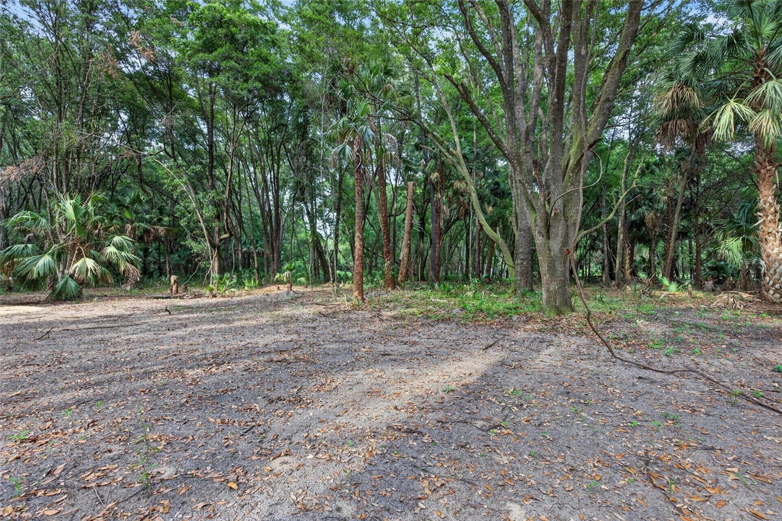 0 N US HWY 301, CITRA, FL — photo 17