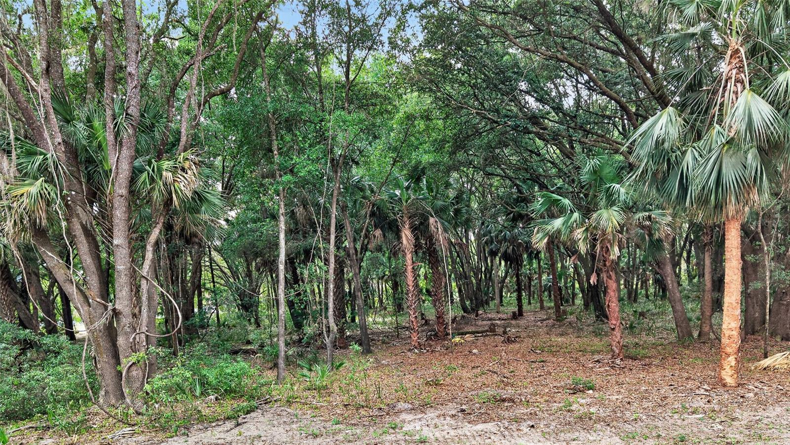 0 N US HWY 301, CITRA, FL — photo 33