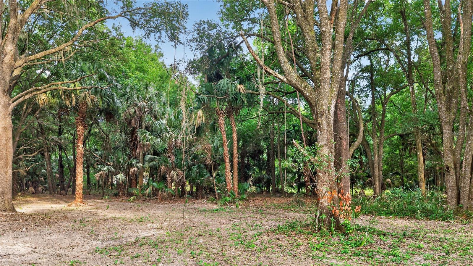 0 N US HWY 301, CITRA, FL — photo 34