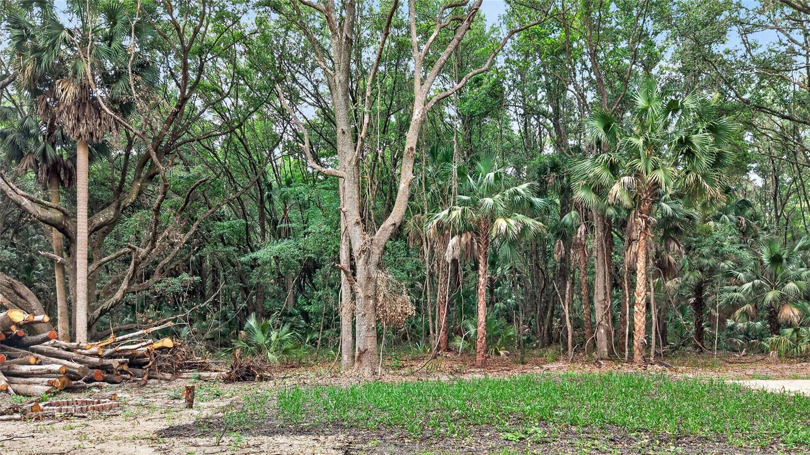 0 N US HWY 301, CITRA, FL — photo 36