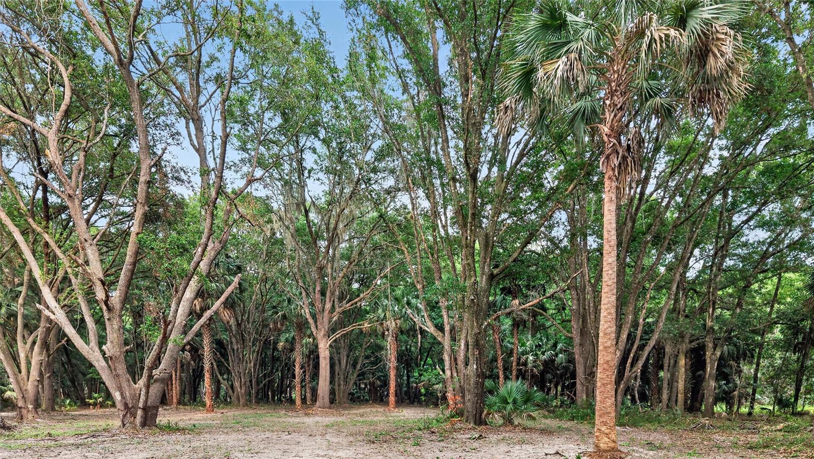 0 N US HWY 301, CITRA, FL — photo 38