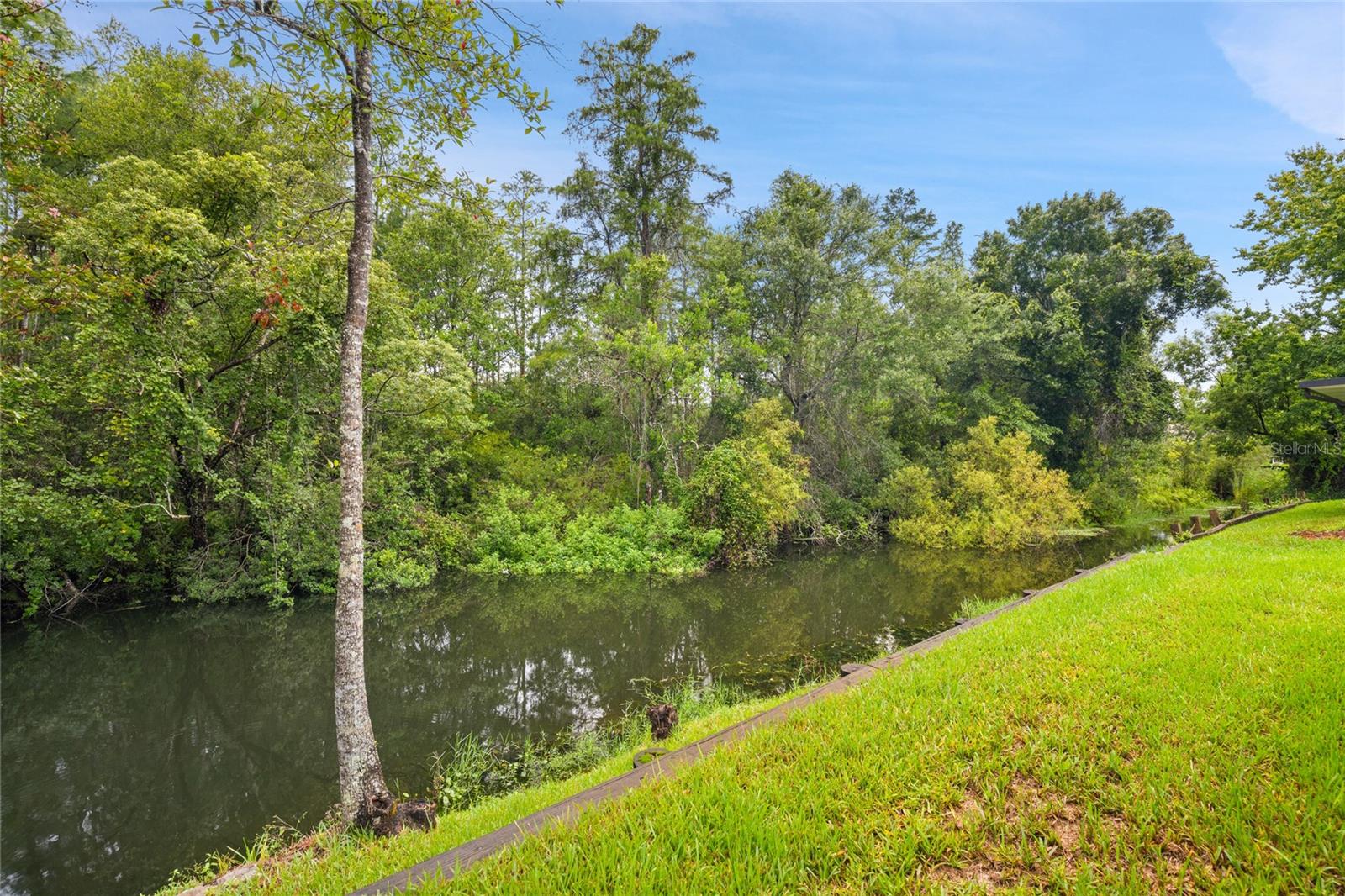 7245 CLEOPATRA DR, LAND O LAKES, FL — photo 4