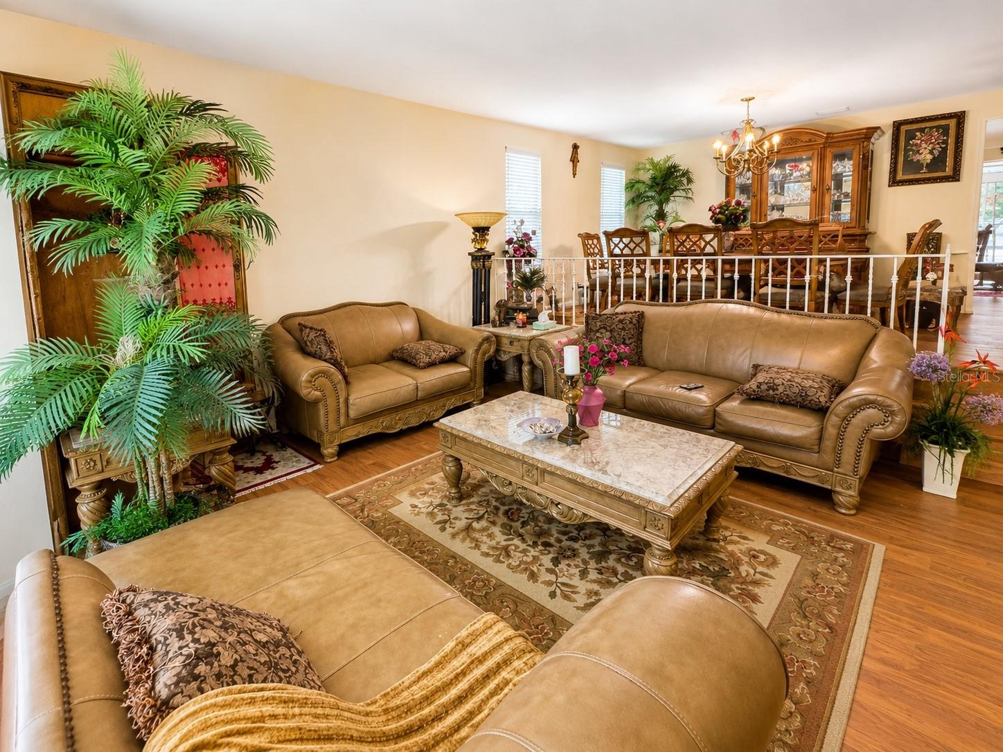 3146 CARLOS DR, DUNEDIN, FL — photo 5