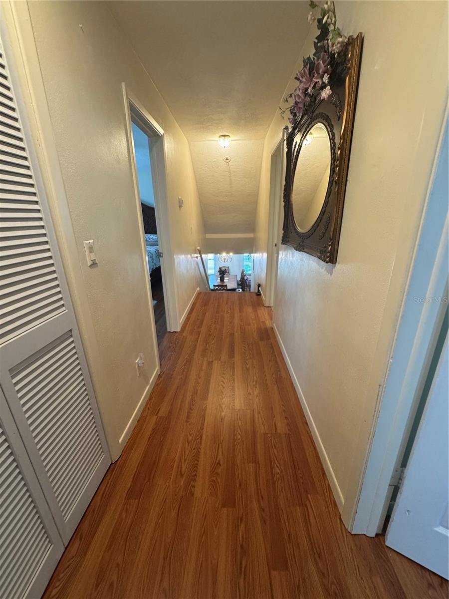 3146 CARLOS DR, DUNEDIN, FL — photo 13