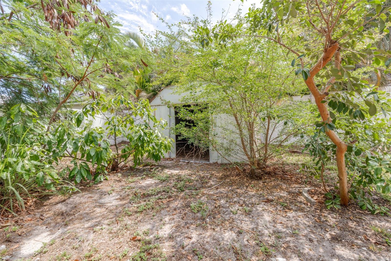 2538 COUNTRYSIDE PINES DR, CLEARWATER, FL — photo 47