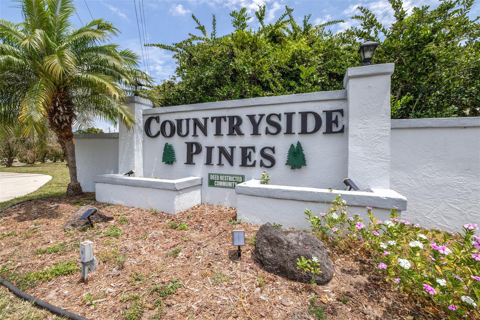 2538 COUNTRYSIDE PINES DR, CLEARWATER, FL — photo 48