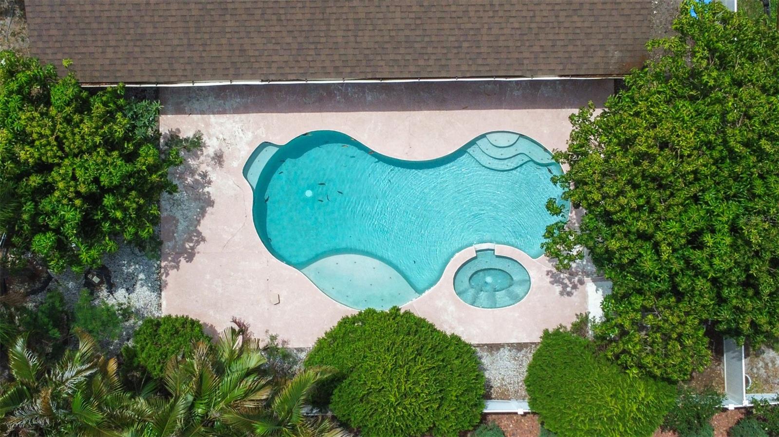 2538 COUNTRYSIDE PINES DR, CLEARWATER, FL — photo 59