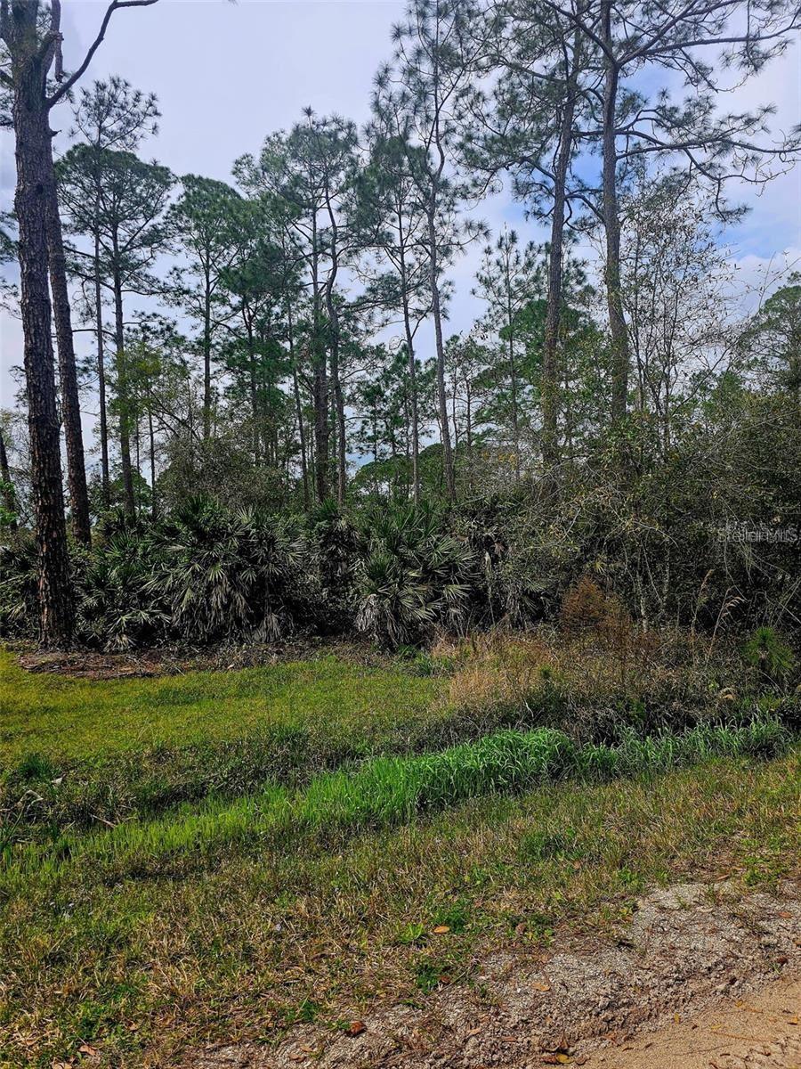 EAST PKWY, DELAND, FL — photo 3