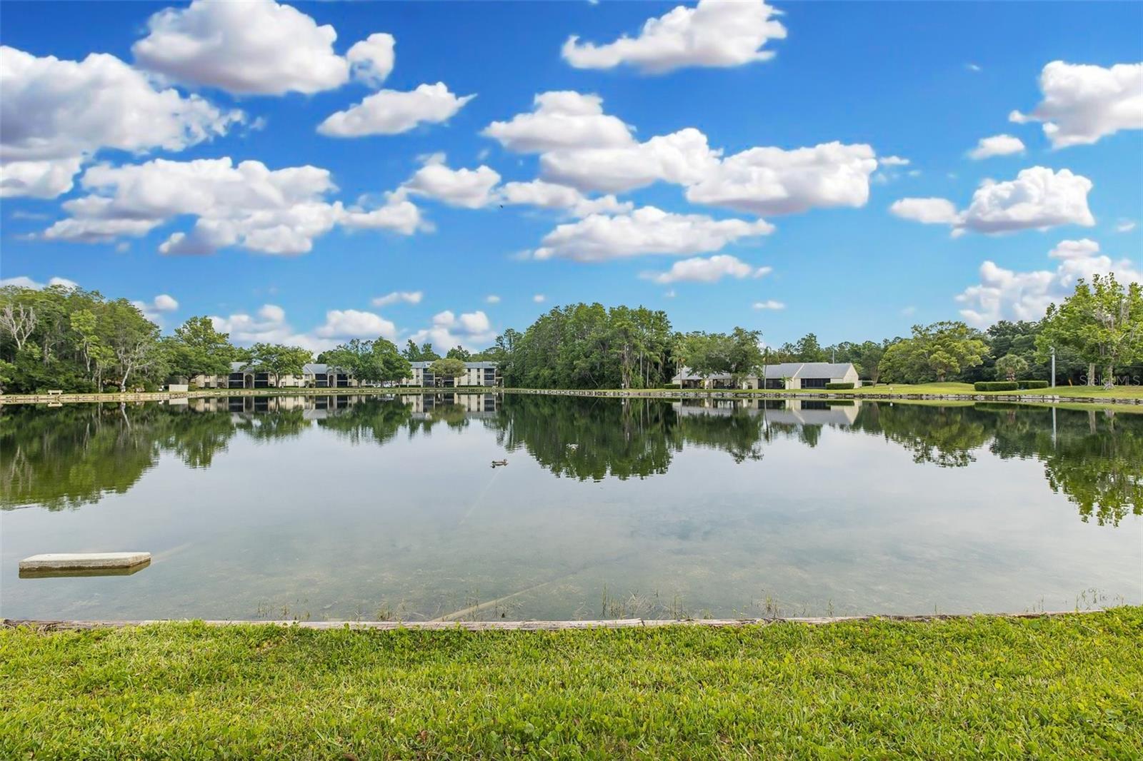 3166 LAKE PINE WAY S #A2, TARPON SPRINGS, FL — photo 7