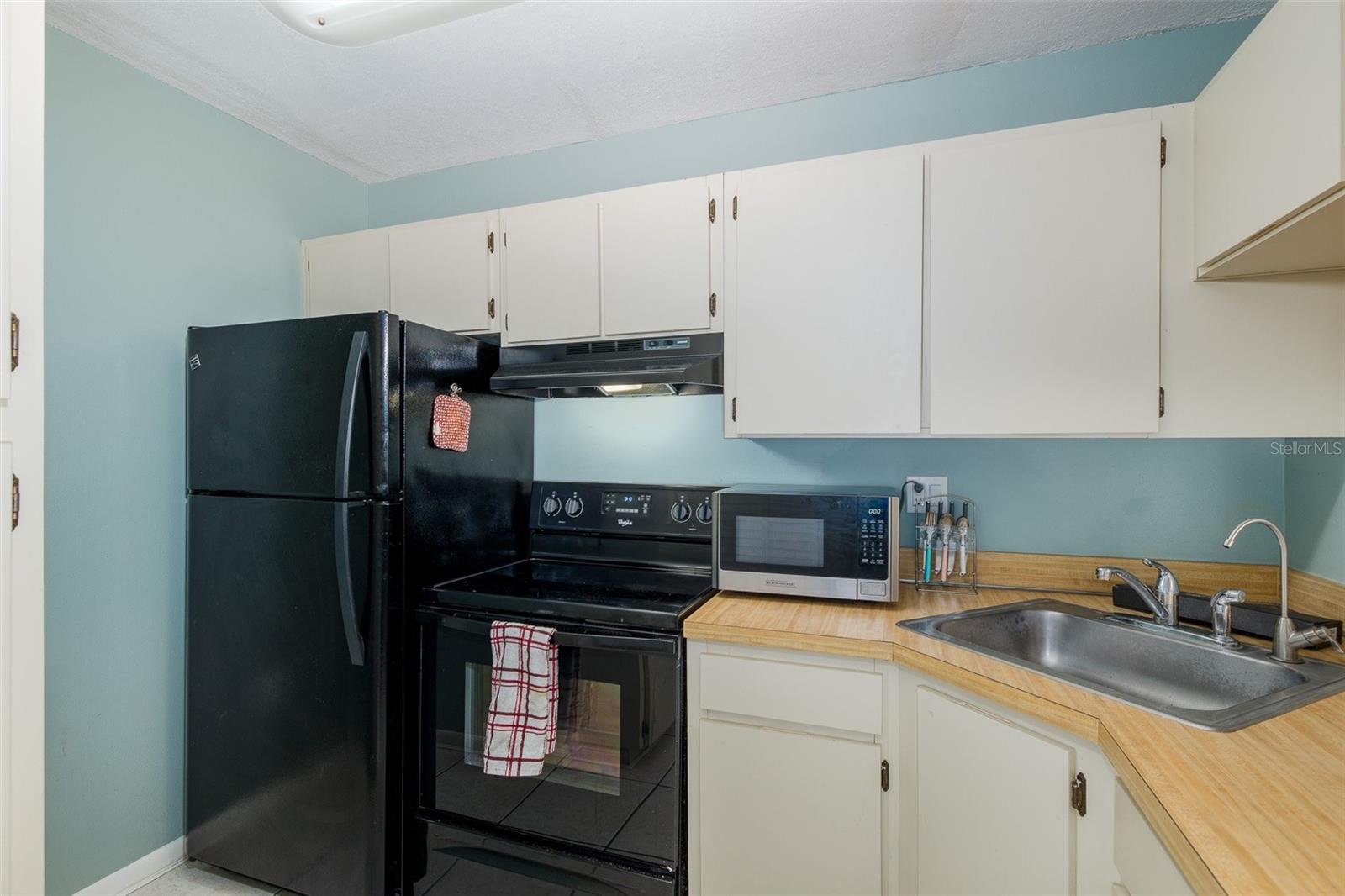 3166 LAKE PINE WAY S #A2, TARPON SPRINGS, FL — photo 11