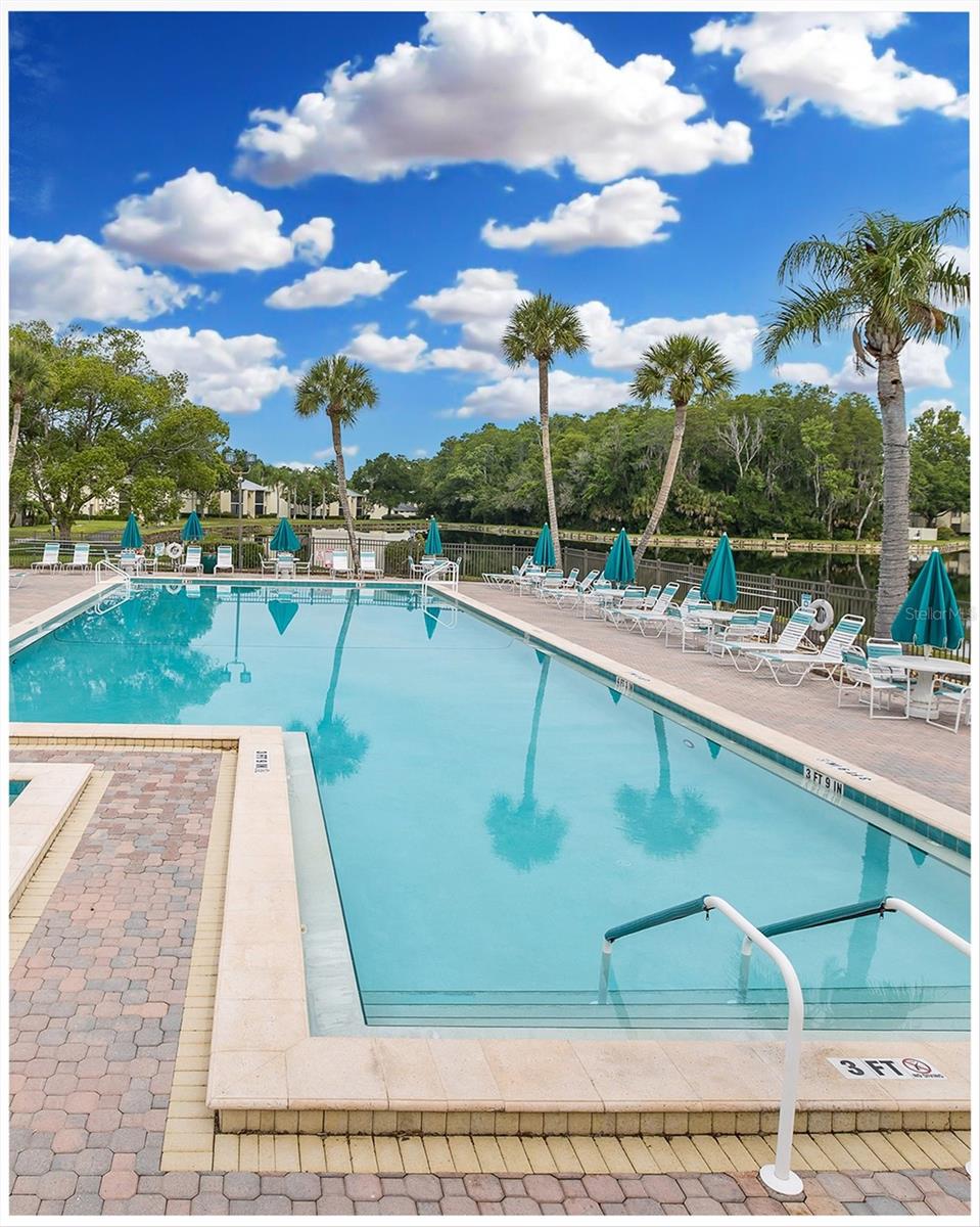 3166 LAKE PINE WAY S #A2, TARPON SPRINGS, FL — photo 39