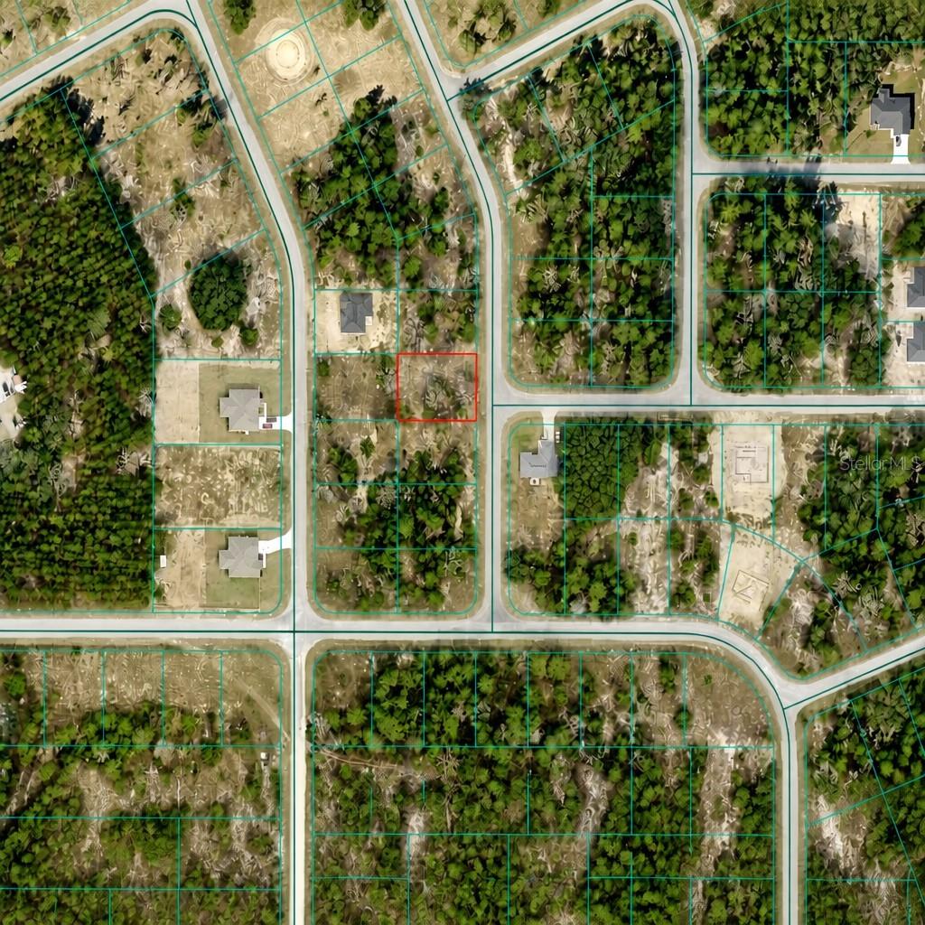 FISHER RUN TRAK, OCKLAWAHA, FL