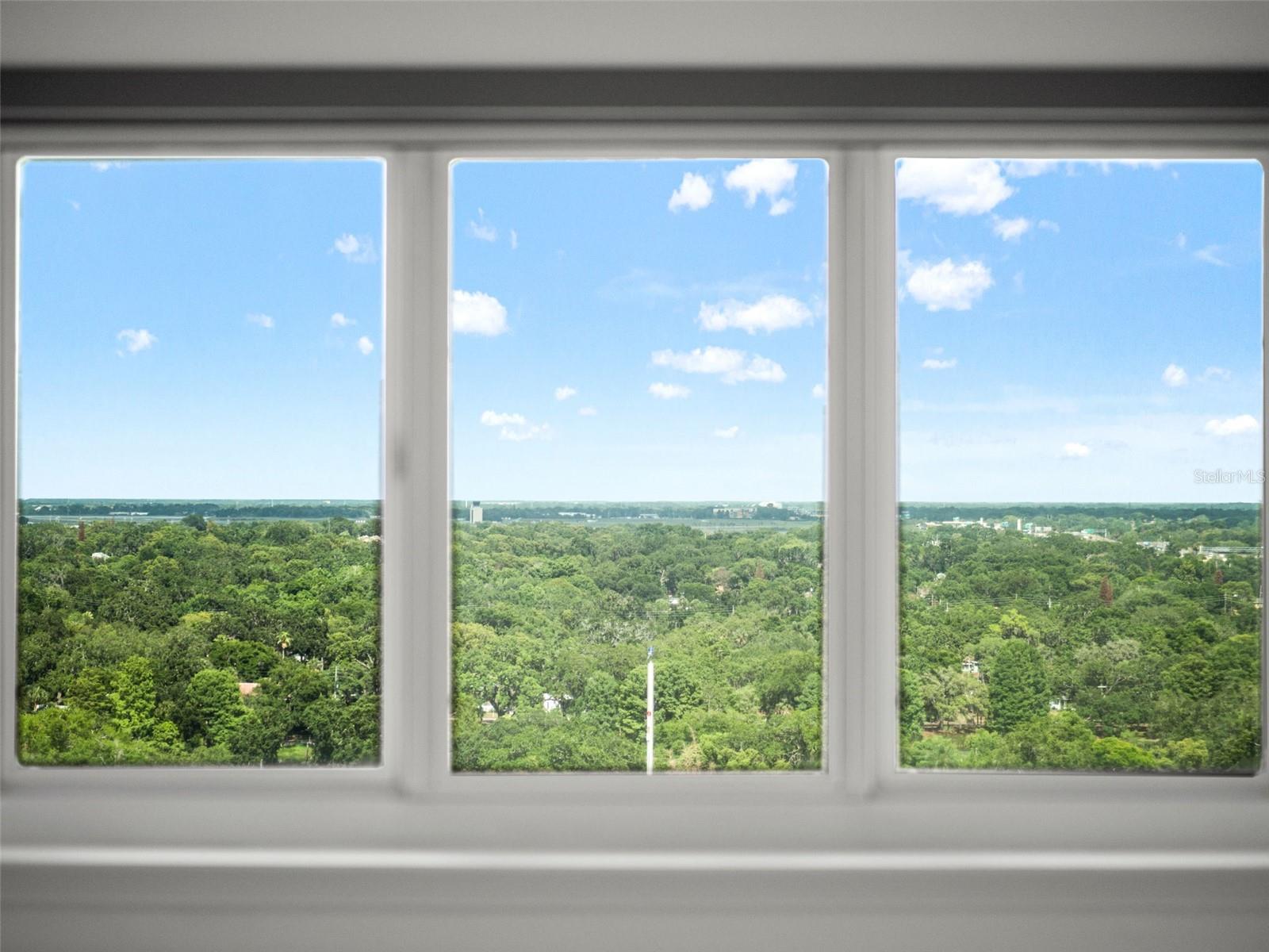 100 S EOLA DR #1609, ORLANDO, FL — photo 11
