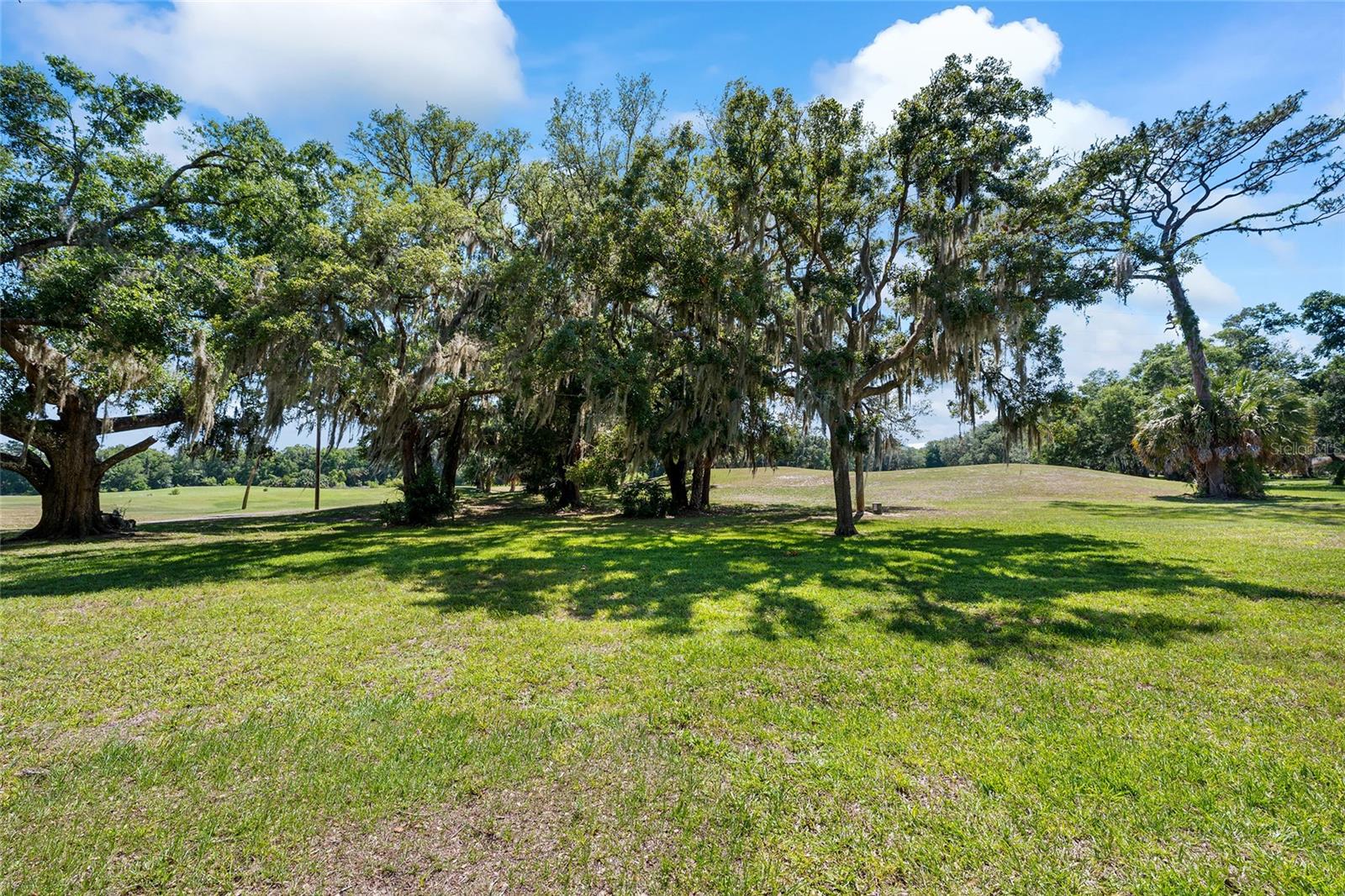 749 MIDWAY DR #A, OCALA, FL — photo 3