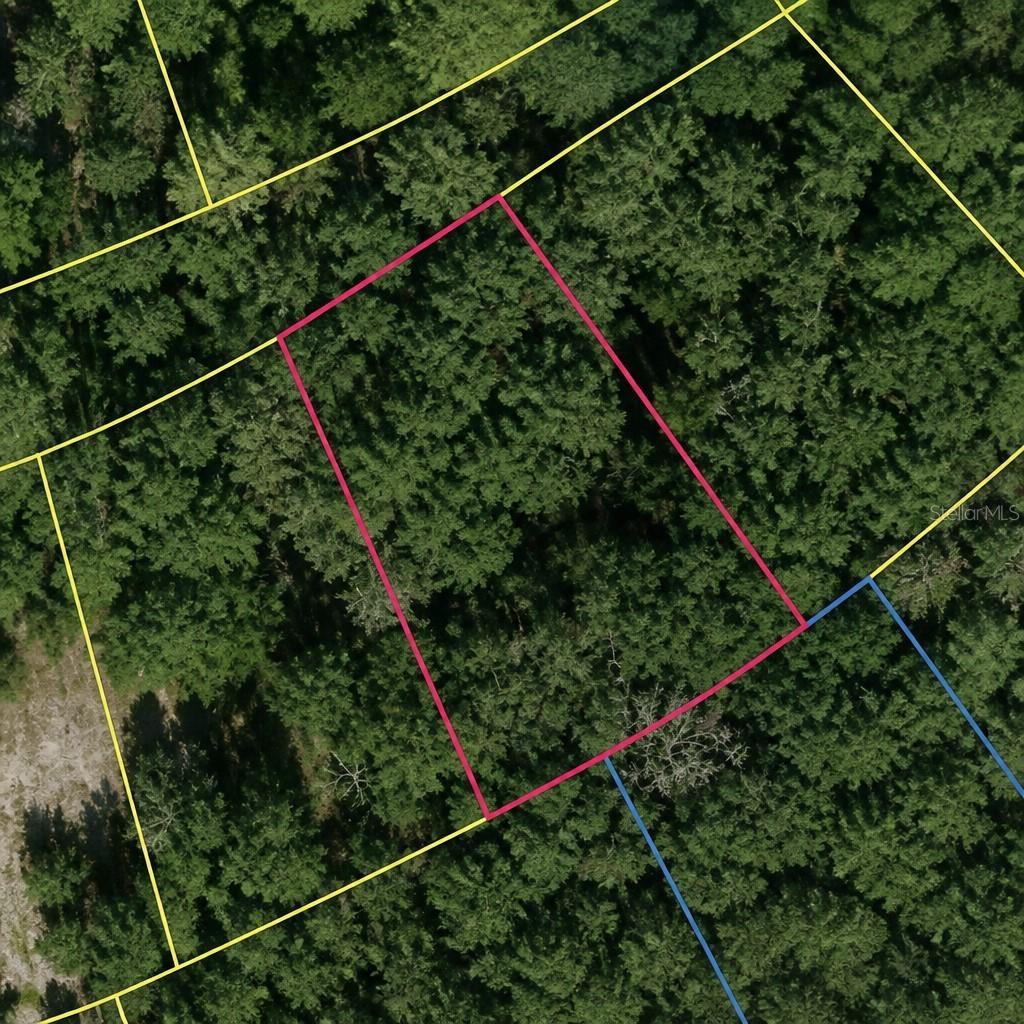 SE FISCHER LANE DR, OCKLAWAHA, FL