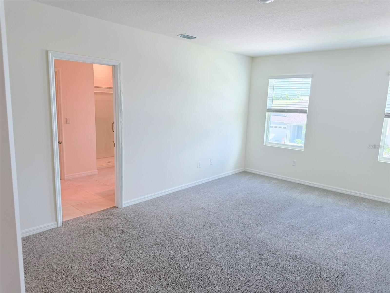 1313 CALMITO DR, MOUNT DORA, FL — photo 18