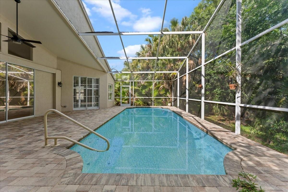 4761 STONEBRIAR DR, OLDSMAR, FL — photo 24
