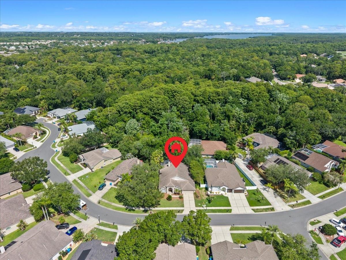 4761 STONEBRIAR DR, OLDSMAR, FL — photo 56