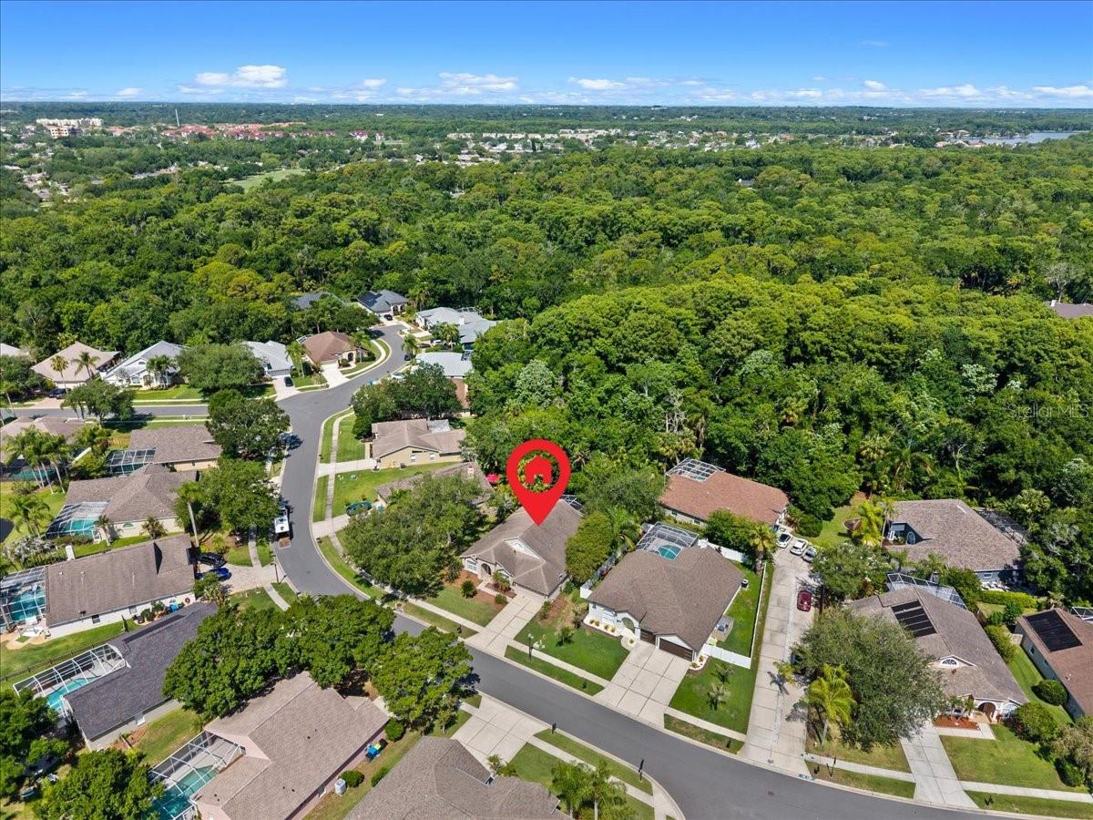 4761 STONEBRIAR DR, OLDSMAR, FL — photo 57