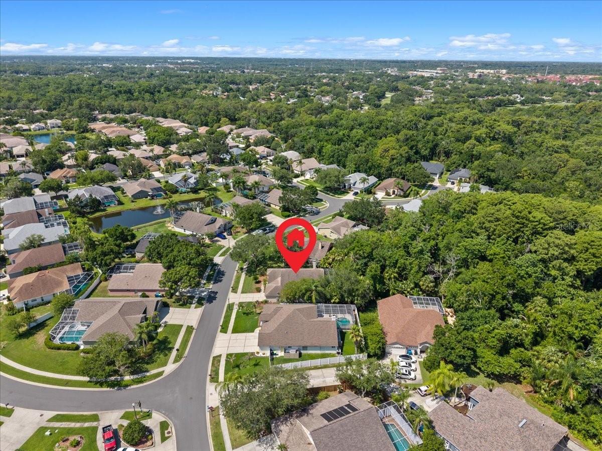 4761 STONEBRIAR DR, OLDSMAR, FL — photo 58