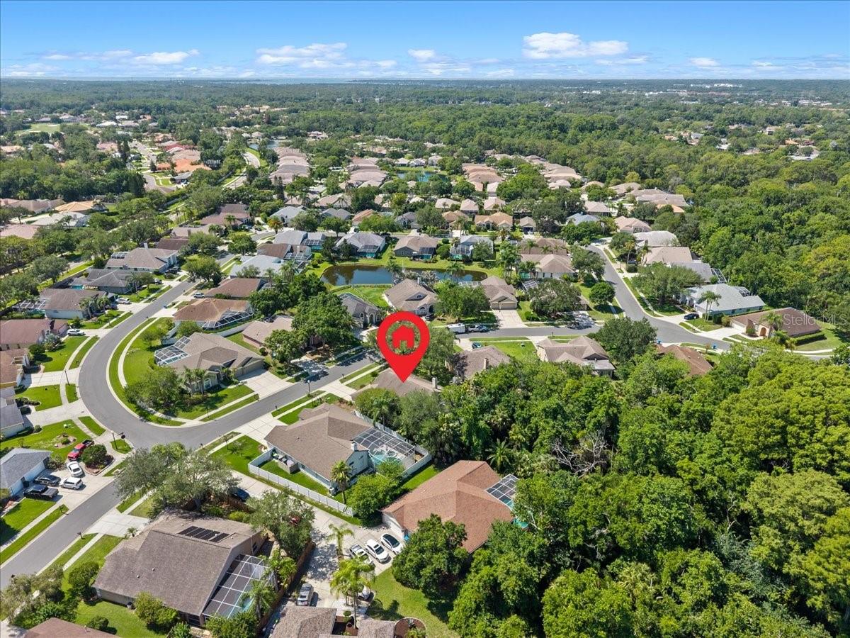 4761 STONEBRIAR DR, OLDSMAR, FL — photo 59