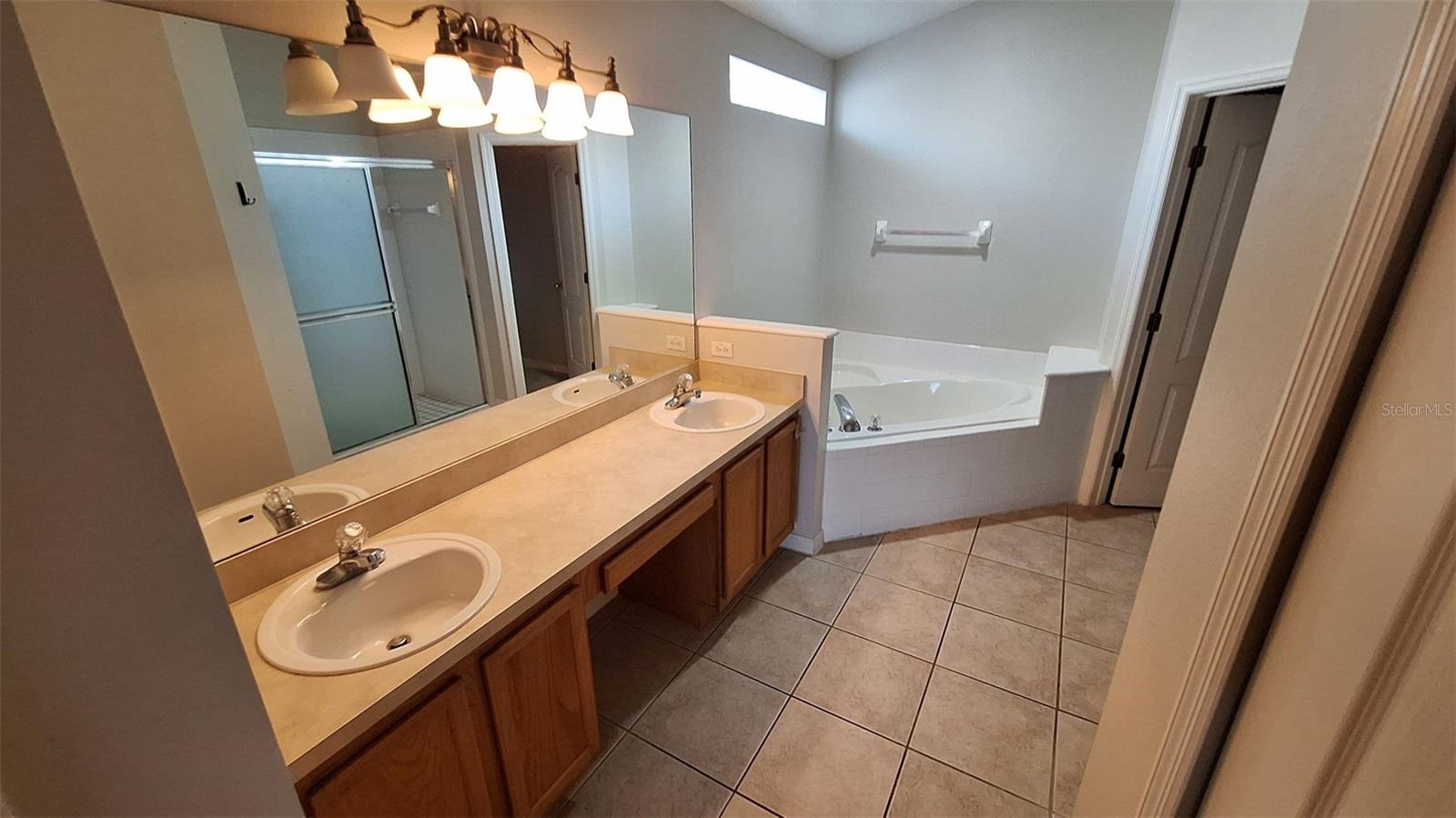 1803 LAKE VILLA DR, TAVARES, FL — photo 14