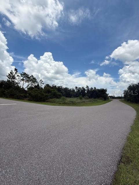 29500 LILLIS ST, PUNTA GORDA, FL — photo 2