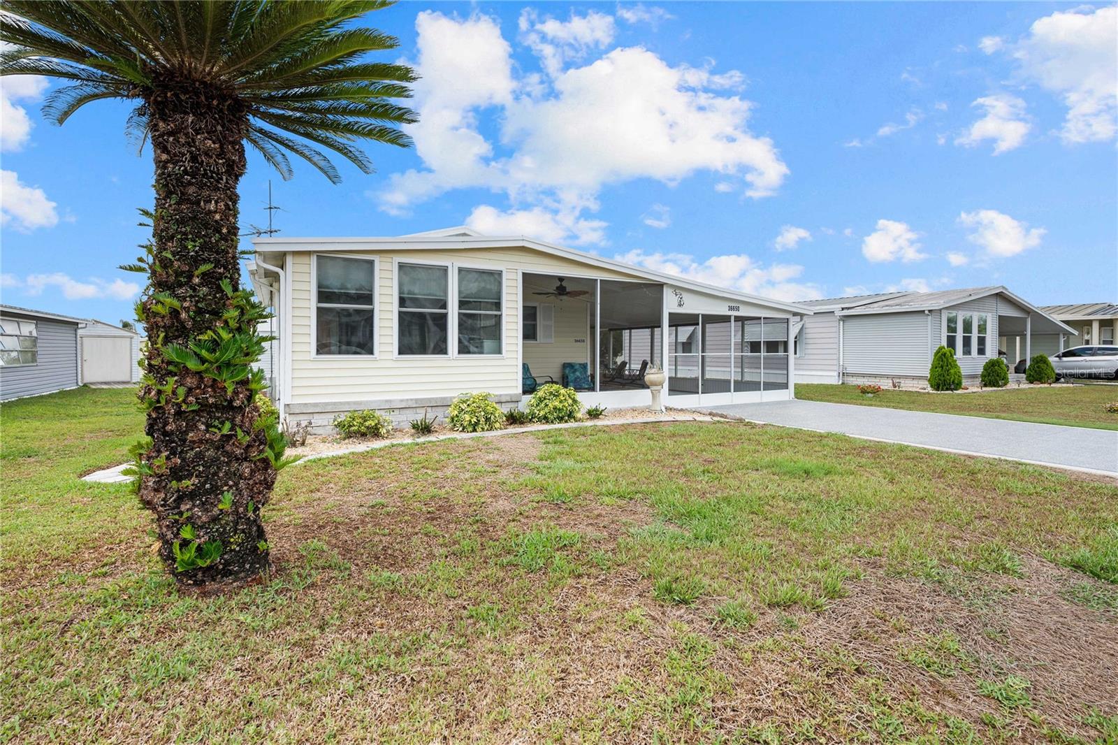 36650 DINA DR, ZEPHYRHILLS, FL — photo 2